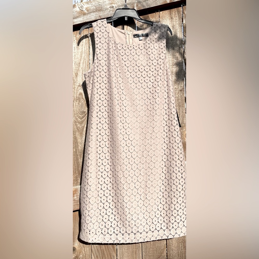 Women’s Mocha Eyelet Shift Dress | Medium
